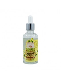 [ELIZAVECCA_2024summer] Witch Piggy Hell Pore Galactomyces Pure Ample - 50ml